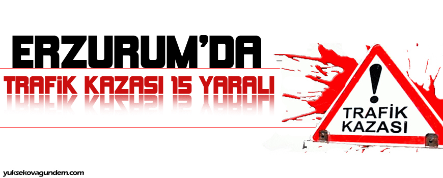 Tortum'da kaza: 15 yaralı