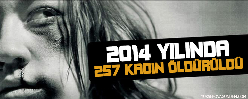 2014te 257 kadın öldürüldü