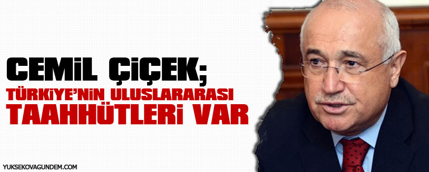 Türkiyenin uluslararası taahhütleri var, idam bu şekilde ele alınmalı