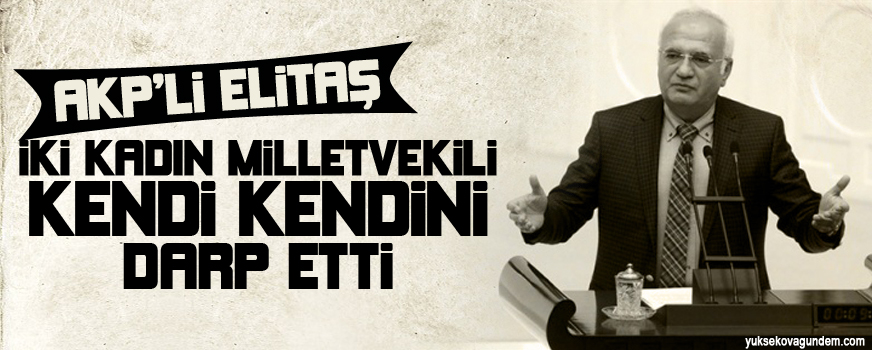 AKP'li Elitaş: İki kadın milletvekili kendi kendini darp etti!