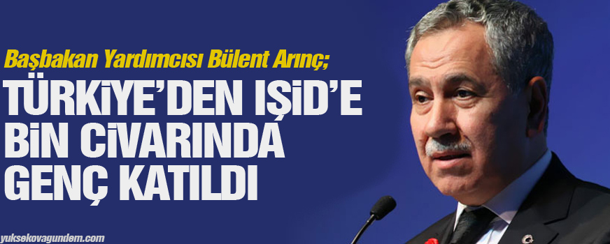 Arınç: Türkiyeden IŞİDe bin civarında genç katıldı