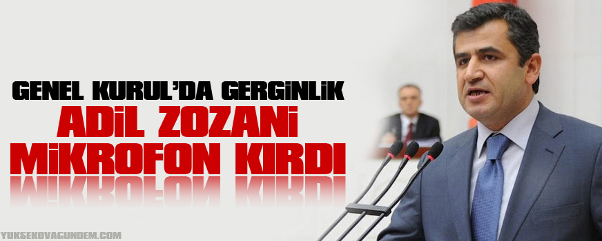 Genel Kurulda Gerginlik, Zozani Mikrofon Kırdı