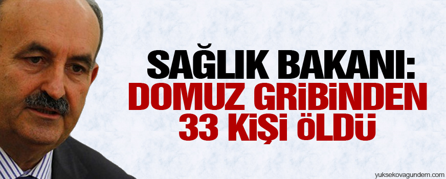 Sağlık Bakanı: Domuz gribinden 33 kişi öldü