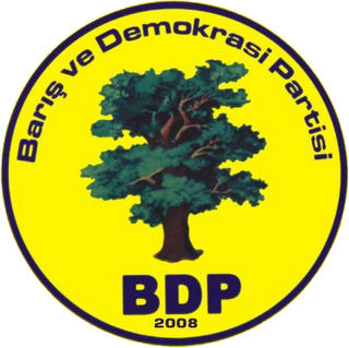 BDP Bingöl İl binasına saldırı