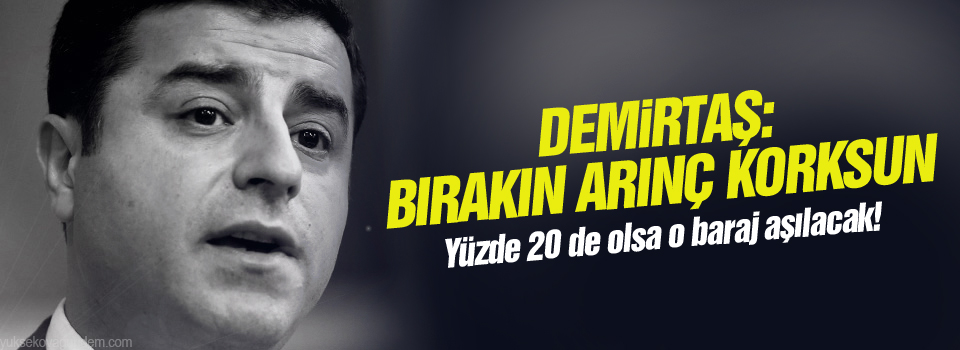 Demirtaş: Bırakın Arınç Korksun!