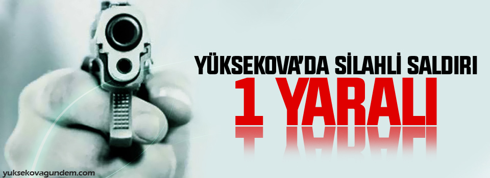 Yüksekova’da silahlı saldırı: 1 yaralı