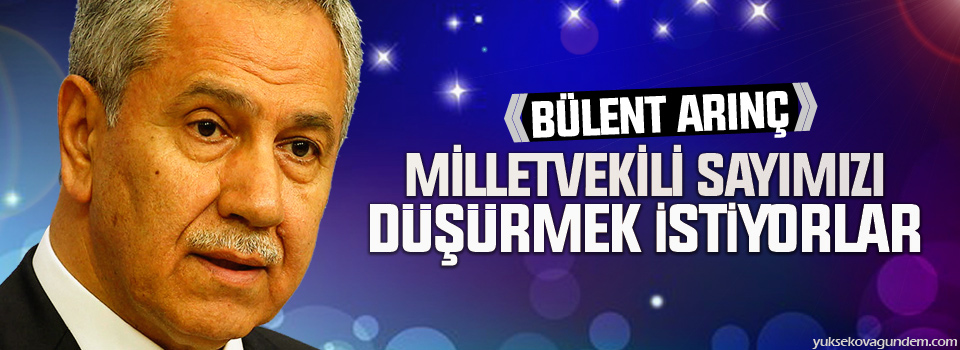 Arınç: Milletvekili sayımızı düşürmek istiyorlar