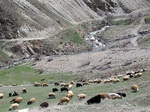 Isınan havalar çiftçileri sevindirdi