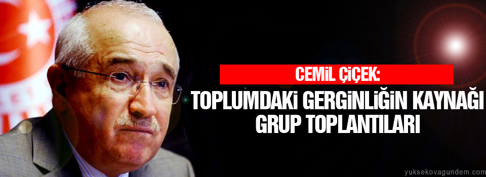 Çiçek: Toplumdaki gerginliğin kaynağı grup toplantıları