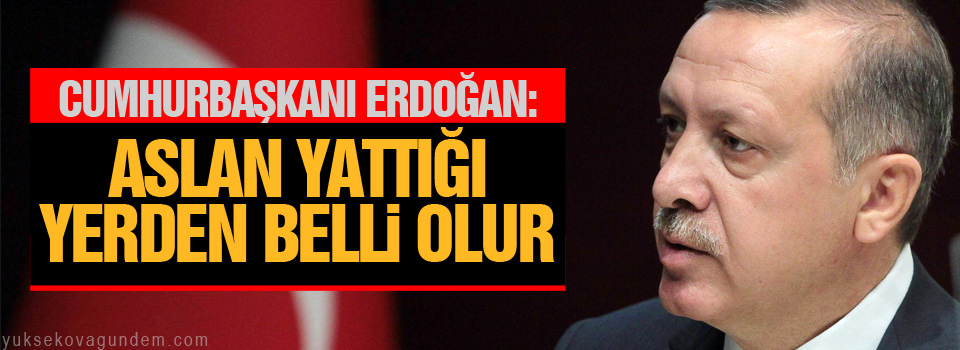 Erdoğan: Aslan yattığı yerden belli olur