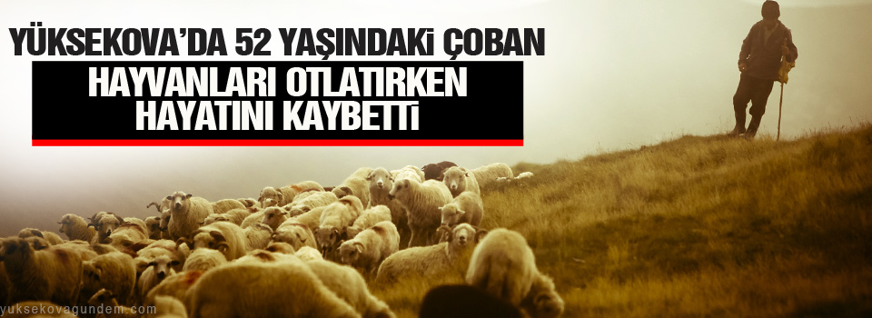 Yüksekova'da çoban hayvan otlatırken hayatını kaybetti