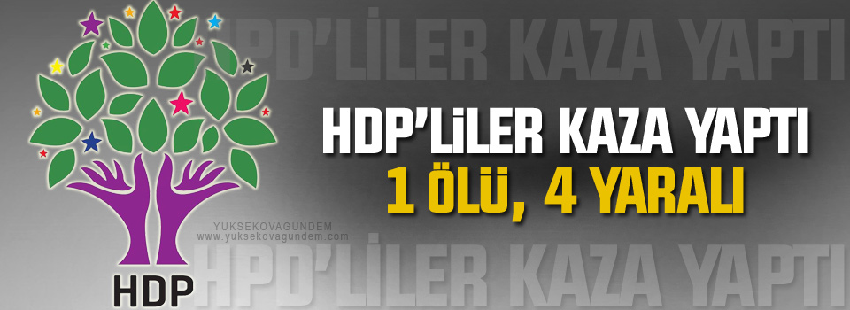 HDP’liler kaza yaptı: 1 ölü, 4 yaralı