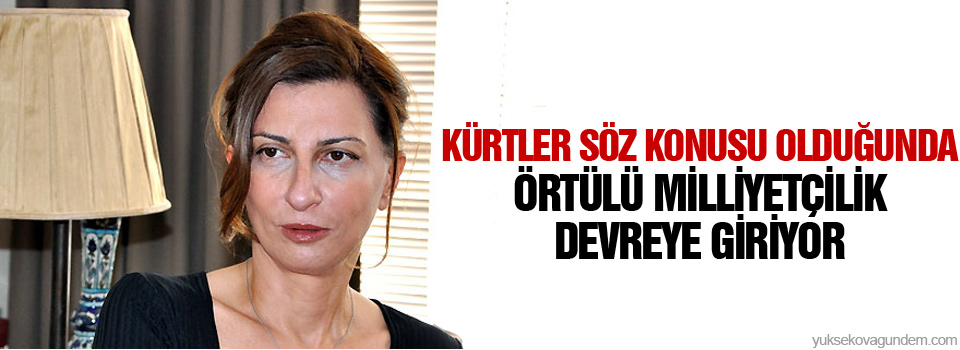 ‘Kürtler söz konusu olduğunda örtülü milliyetçilik devreye giriyor’
