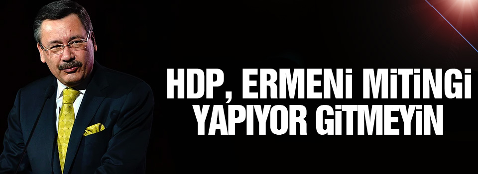 Gökçek: HDP, Ermeni mitingi yapıyor gitmeyin