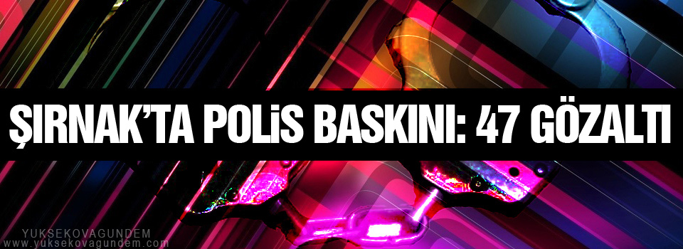 Şırnak’ta polis baskını: 47 gözaltı