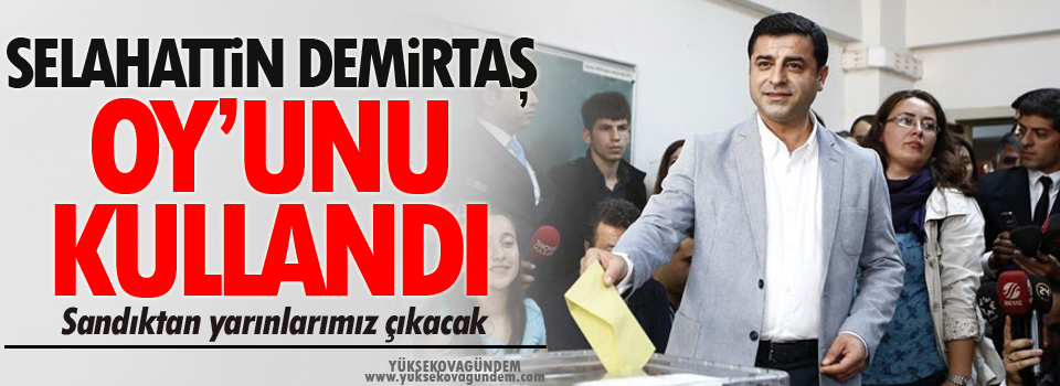 Demirtaş, Oyunu kullandı