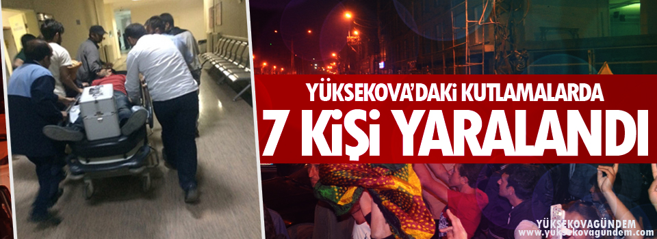 Yüksekova'daki Kutlamalarda 7 kişi yaralandı