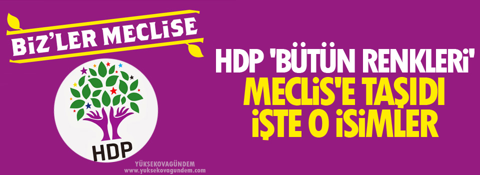 HDP 'bütün renkleri' Meclis'e taşıdı...İşte o isimler