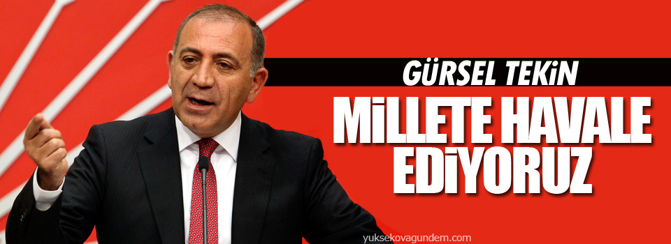 Tekin: Millete havale ediyoruz