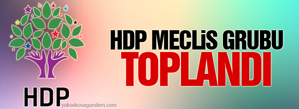 HDP grubu toplandı