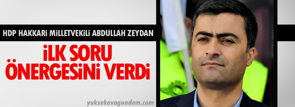HDP Hakkari Milletvekili Zeydan İlk soru önergesini verdi