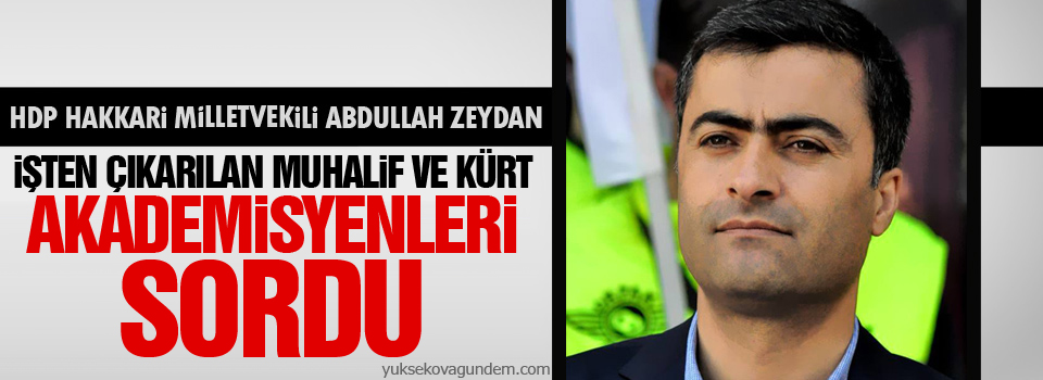 Zeydan : İşten çıkarılan muhalif ve Kürt Akademisyenleri sordu