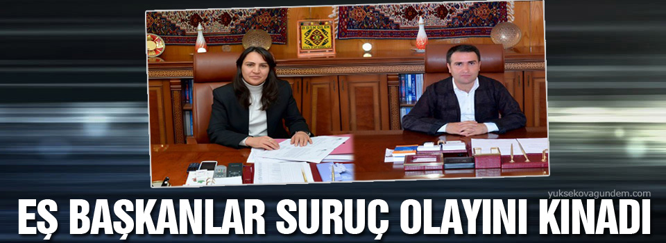 Eş başkanlar Suruç olayını kınadı