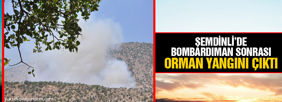 Şemdinli’de bombardıman sonrası orman yangını çıktı