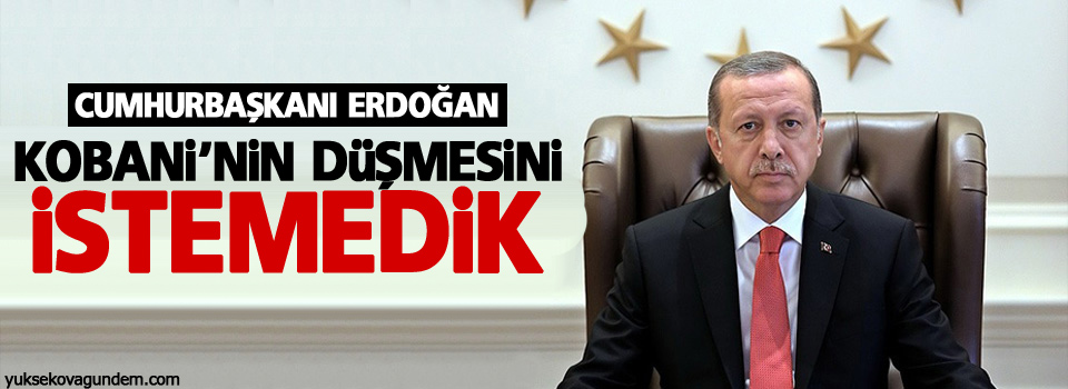 Erdoğan: Kobani’nin düşmesini istemedik