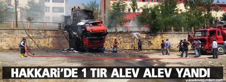 Hakkari'de 1 tır alev alev yandı