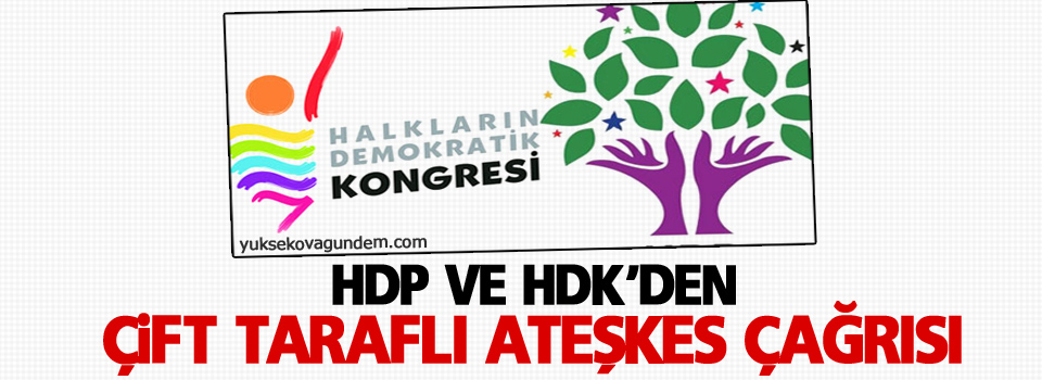 HDP ve HDK’den çift taraflı ateşkes çağrısı