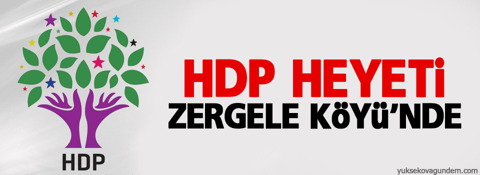 HDP heyeti Zergele Köyü’nde