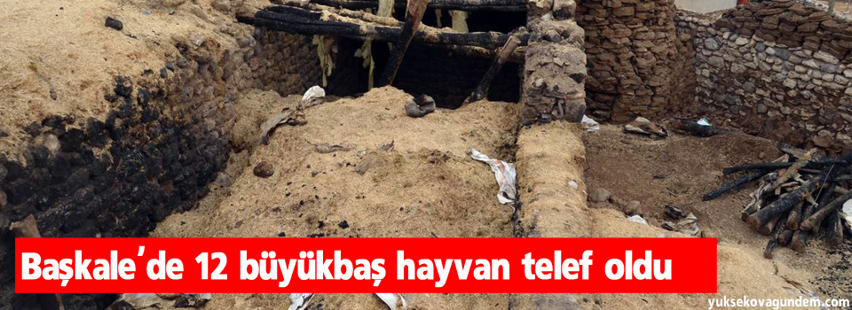 Başkale'de 12 büyükbaş hayvan telef oldu