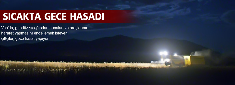 Sıcakta gece hasadı