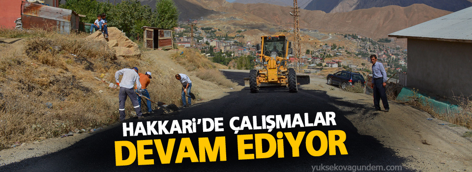 Hakkari'de yol onarım çalışmaları devam ediyor