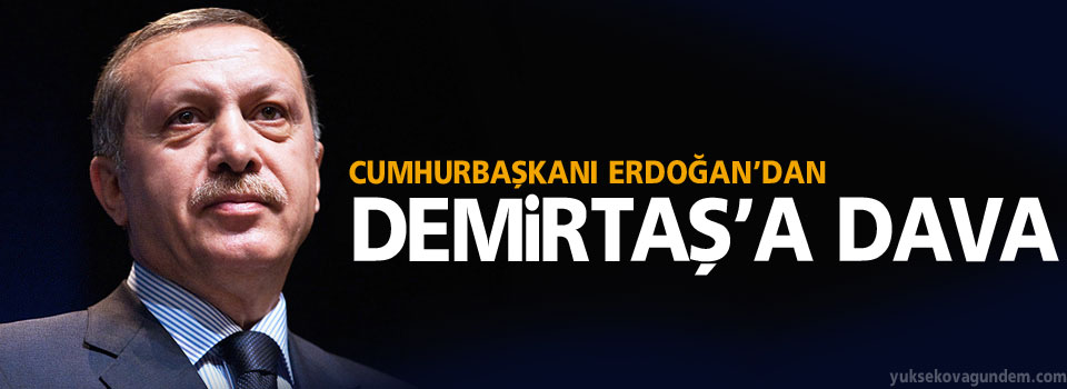 Cumhurbaşkanı Erdoğan'dan Demirtaş'a dava