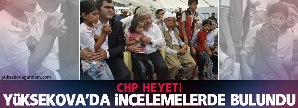 CHP heyeti Yüksekova'da incelemede bulundu