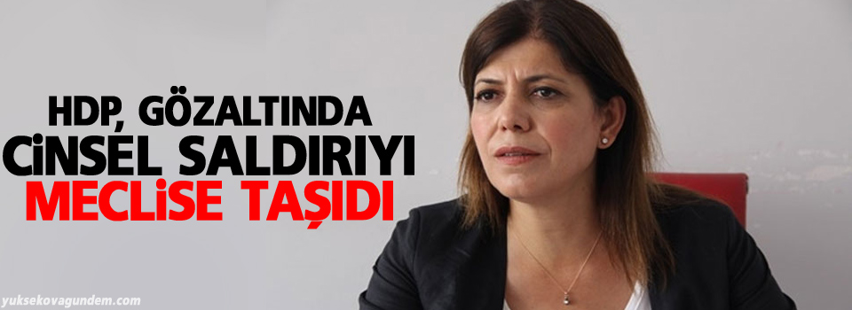 HDP, gözaltında cinsel saldırıyı meclise taşıdı