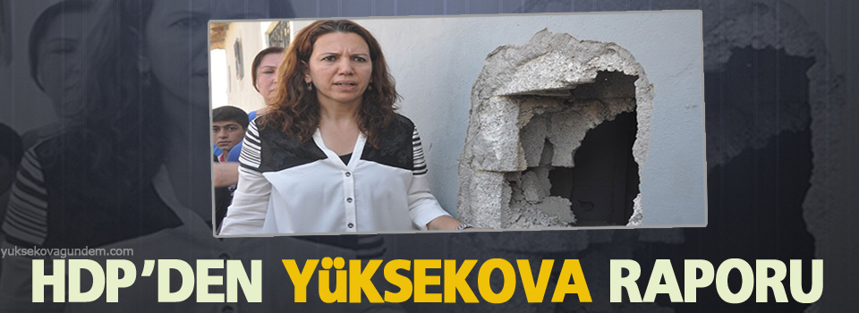 HDP'den Yüksekova raporu