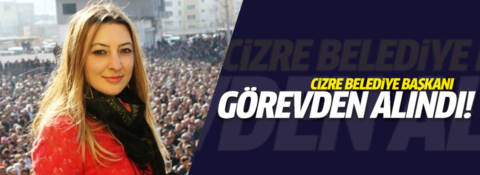 Cizre Eşbaşkanı İmret görevden alındı