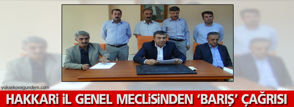 Hakkari il genel meclisinden 'barış' çağrısı