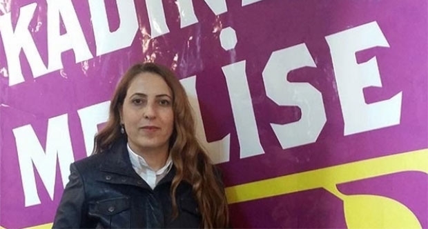 HDP'de Hülya Avşar heyecanı