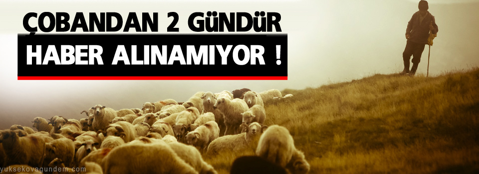 Çobandan 2 gündür haber alınamıyor