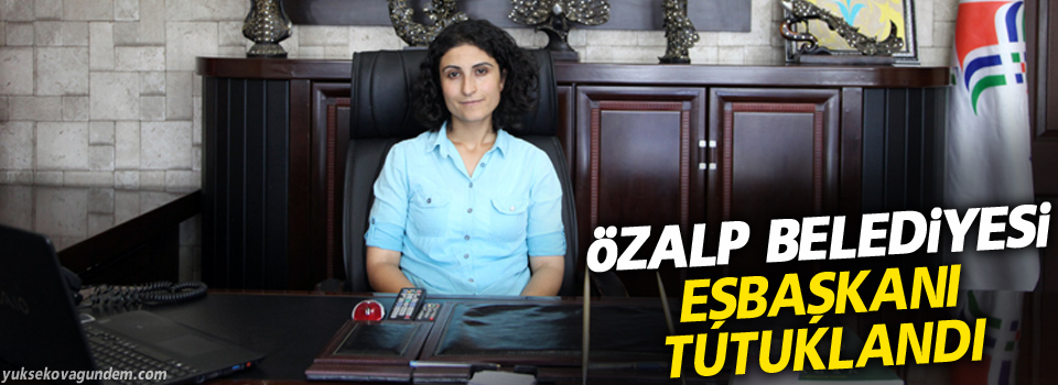 Özalp Belediyesi Eşbaşkanı tutuklandı