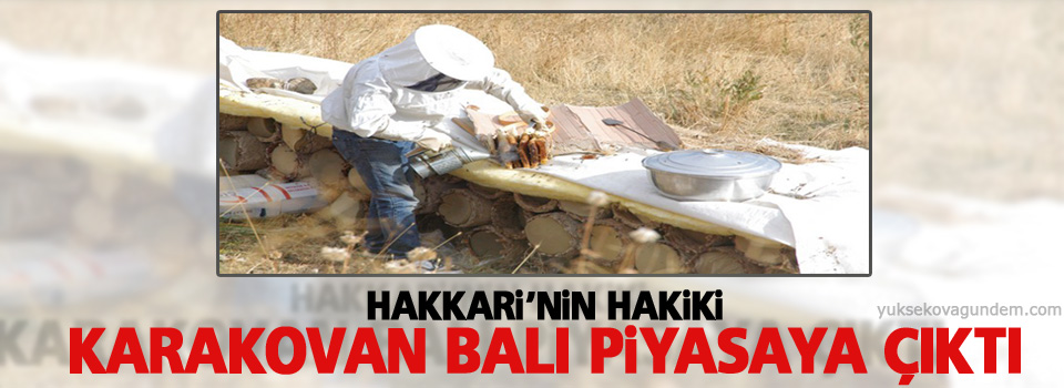 Hakkari'nin hakiki karakovan balı piyasaya çıktı