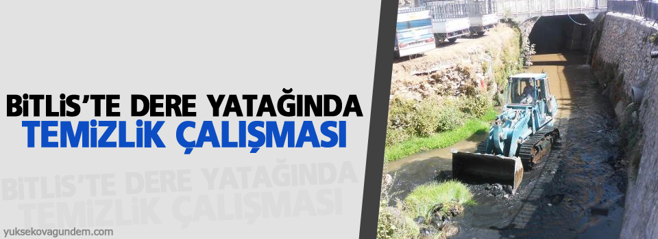 Bitlis'te dere yatağında temizlik çalışması