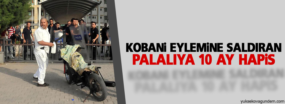 Kobani eylemine saldıran palalıya 10 ay hapis
