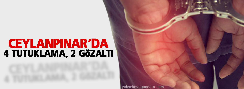 Ceylanpınar'da 4 tutuklama 2 gözaltı