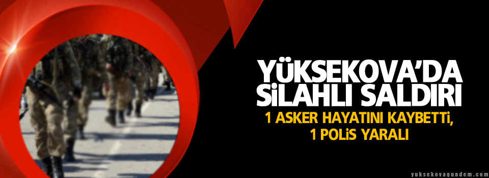 Yüksekova'da polise saldırı