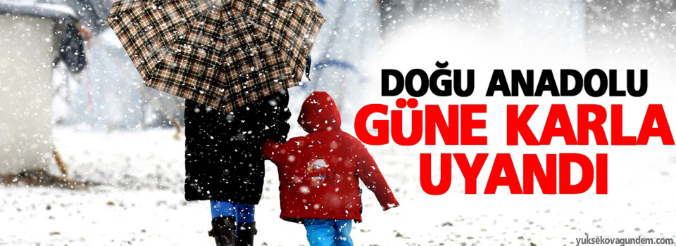 Doğu Anadolu güne karla uyandı